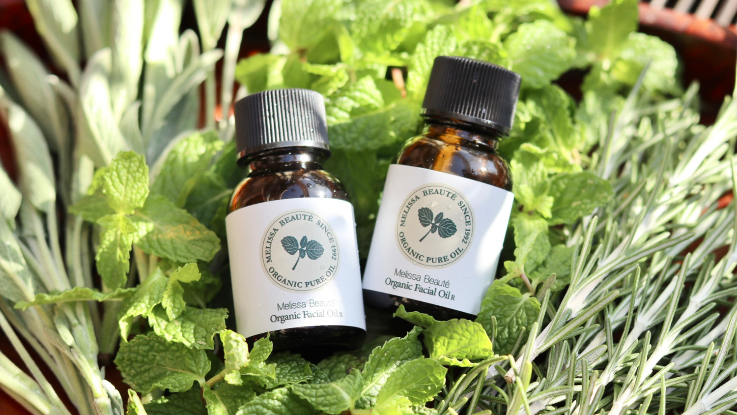 メリッサボーテ オーガニックライン