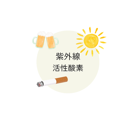 紫外線と活性酸素がメラノサイトを刺激