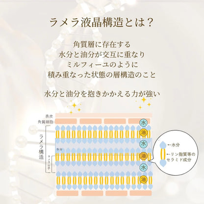 【公式】メリッサボーテ ラメラコンセートレート 18g