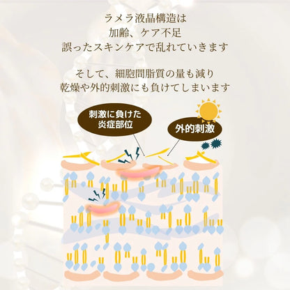 【公式】メリッサボーテ ラメラコンセートレート 18g